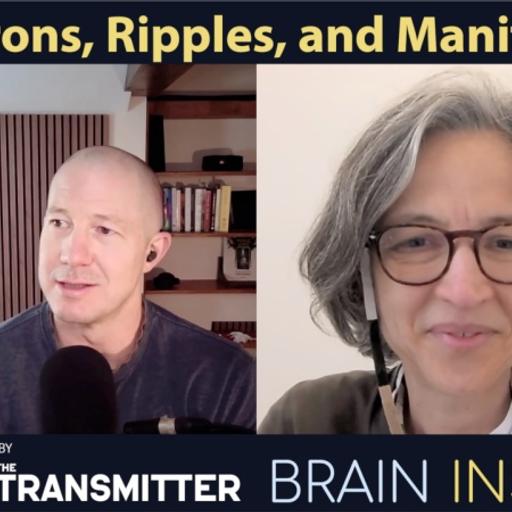 BI 236 Liset de la Prida: Neurons, Ripples, and Manifolds