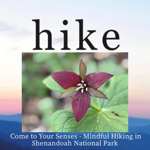 Come to Your Senses — Mindful Hiking in Shenandoah National Park