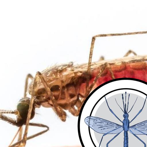Driven to End Malaria: World Malaria Day 2026