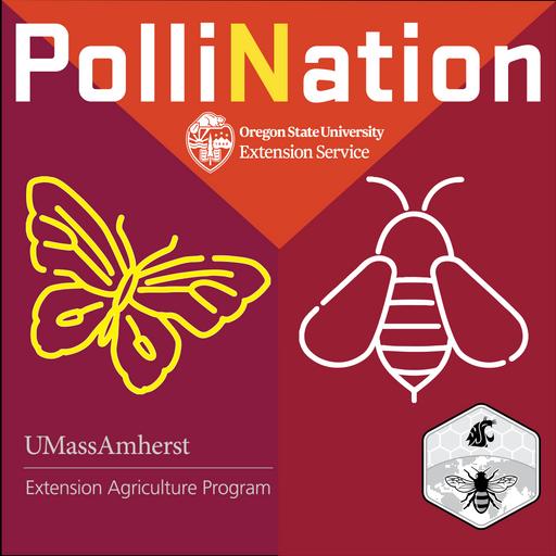 300 - PolliNation RELOADED | PolliNation