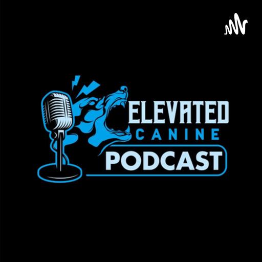 Episode 33| Ronnie Manganiello