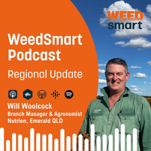 Regional Update - Will Woolcock, Emerald, QLD