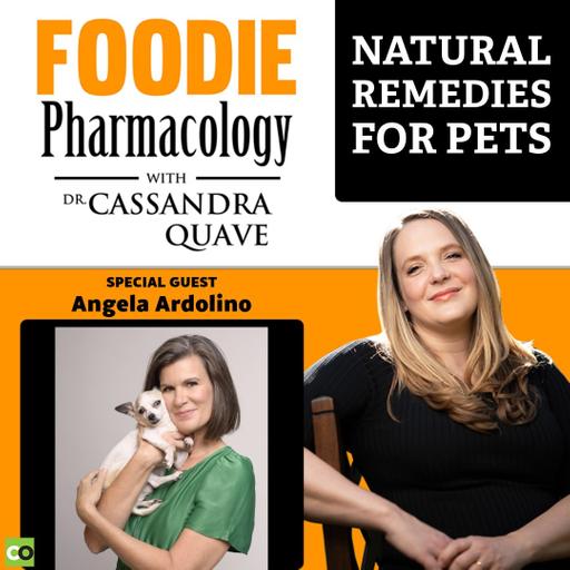 Natural Remedies for Pets with Angela Ardolino
