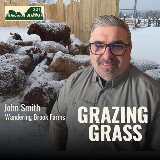 221 | Grazing Cattle in Vermont: Can a Southern Breed Thrive Up North?