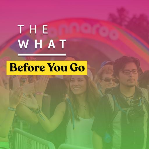 Don't Go to Bonnaroo Without These Tips