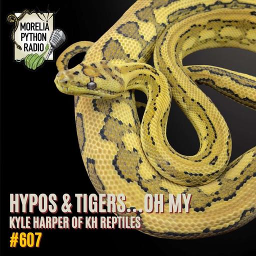 Hypos & Tigers Oh My...Kyle Harpet of KH Reptiles.