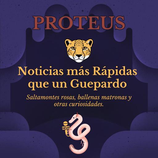 Saltamontes rosas y ballenas matronas: noticias más rápidas que un guepardo