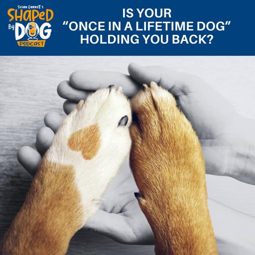 Is Your "Once In A Lifetime Dog" Holding You Back? #329