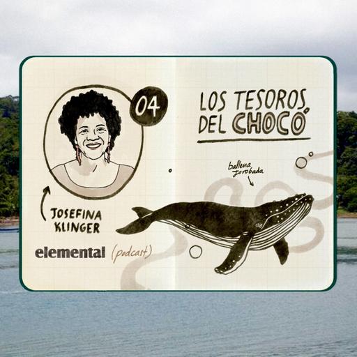 Los tesoros del Chocó