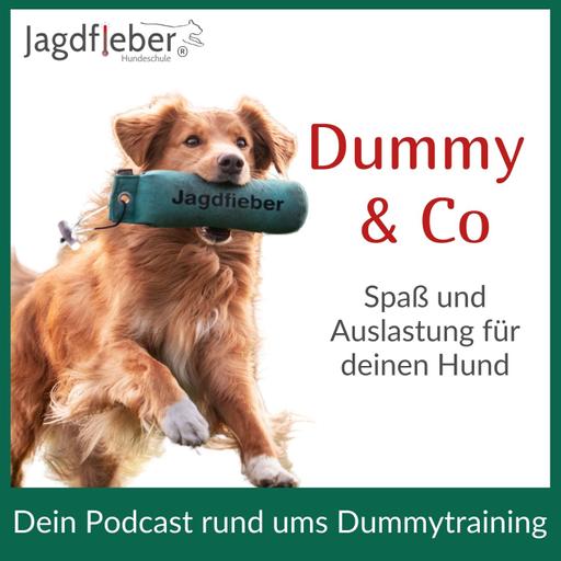 P227: Unsicherer Hund? Diese Aufgabe stärkt sein Vertrauen im Dummytraining