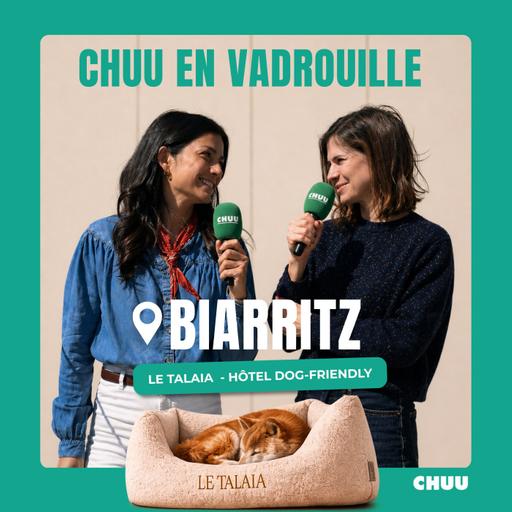 CHUU en vadrouille #1 : Le Talaia, un hôtel dog-friendly à Biarritz
