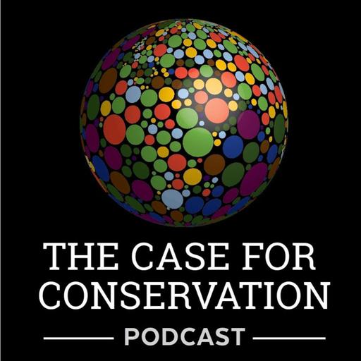 66. Do We Need to Collaborate Less? (Örjan Bodin)