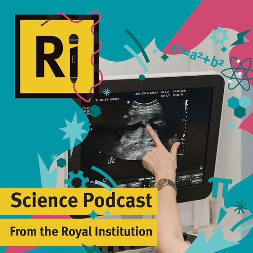 How does epigenetics impact the placenta? - with Jennifer Frost
