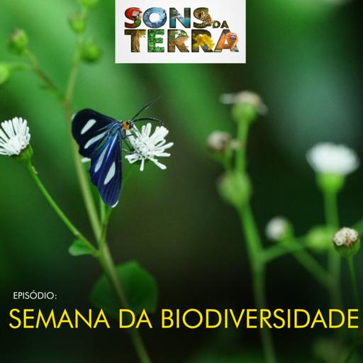Ativação convida brasileiros a documentar a natureza