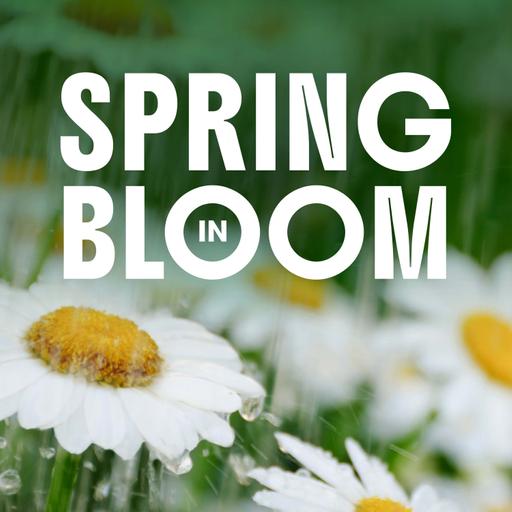 Spring in Bloom