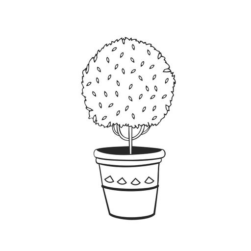 Plants that shine in Winter