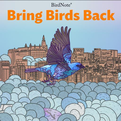 Celluloid Birding with Christian Cooper