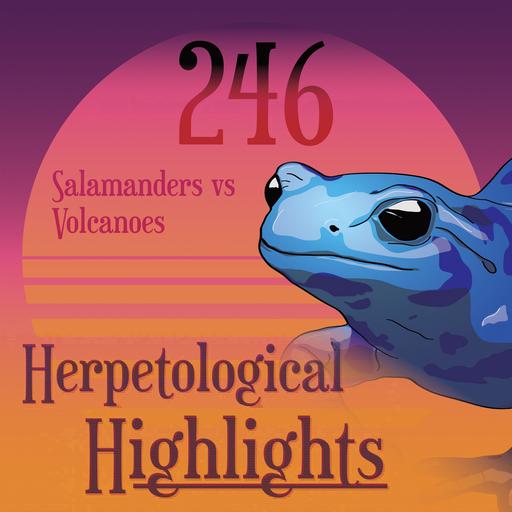246 Salamanders vs Volcanoes