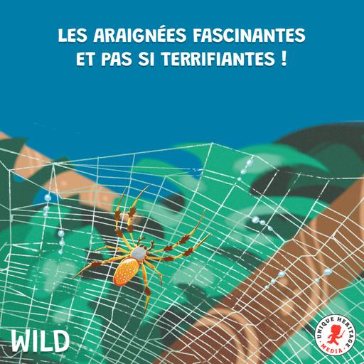 Les araignées fascinantes et pas si terrifiantes, épisode 1