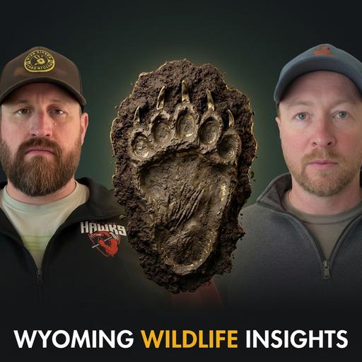 Wyoming Wildlife Insights