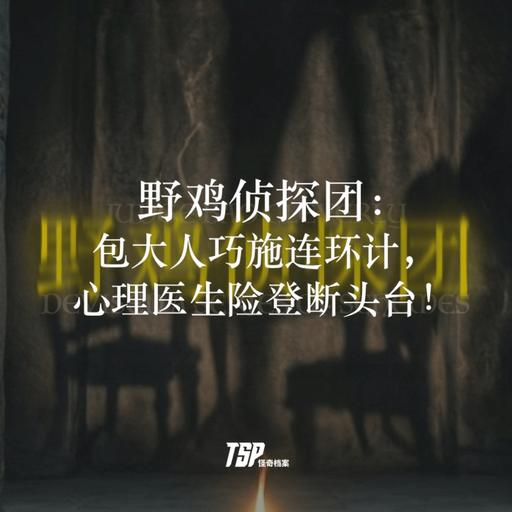 野鸡侦探团：包大人巧施连环计，心理医生险登断头台！