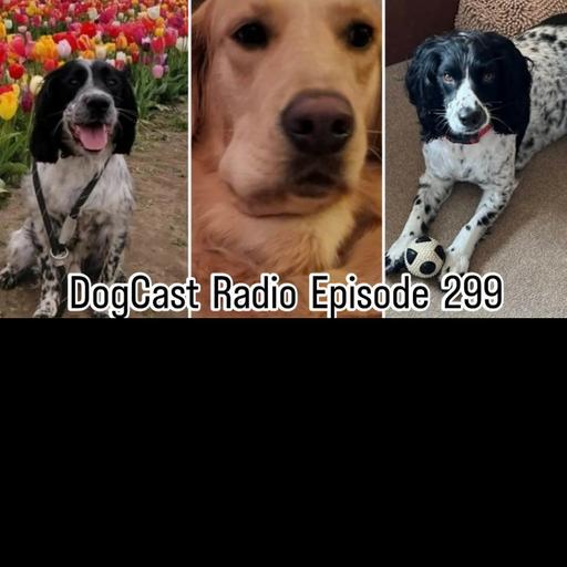 Episode 299 - dog themed AITA and AIBU, dogs' brains shrinking, toxic tulips and adder bites