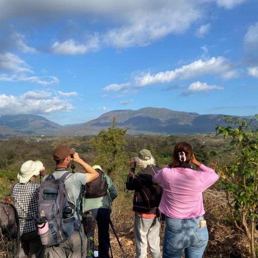 What is regenerative tourism? PODCAST 240