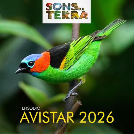 Avistar celebra 20 anos com muitas novidades!