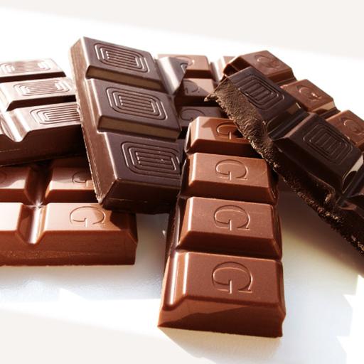 Chocolate toxicity in dogs - a year-round threat