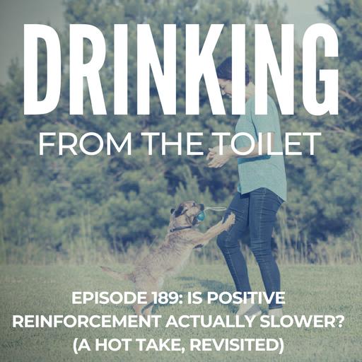 Is Positive Reinforcement Actually Slower? (A Hot Take, Revisited) | Hannah Branigan