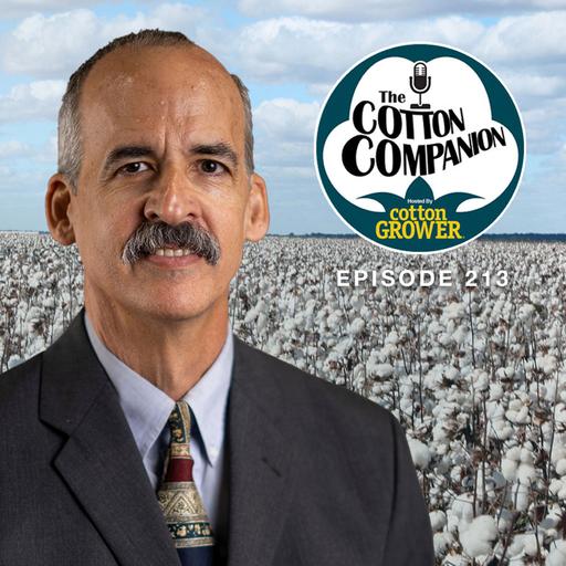 Cotton’s Weather Market Has the Bulls on Parade