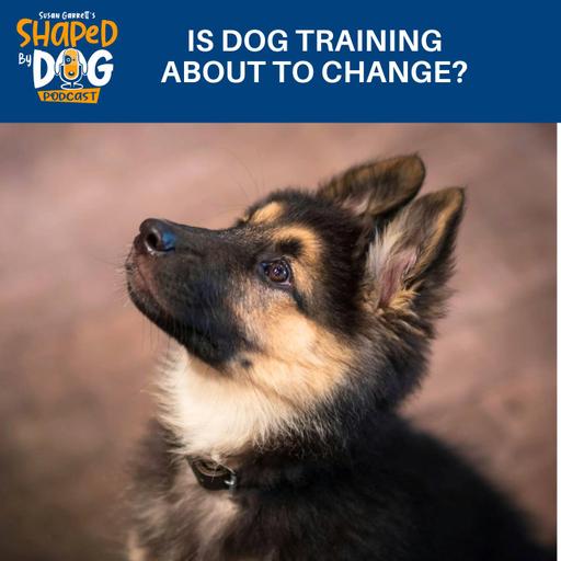 Is Dog Training About To Change? #330