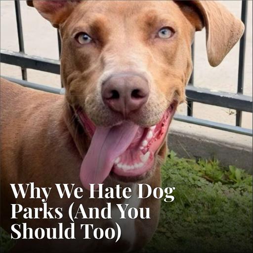 Why We Hate Dog Parks (And You Should Too)