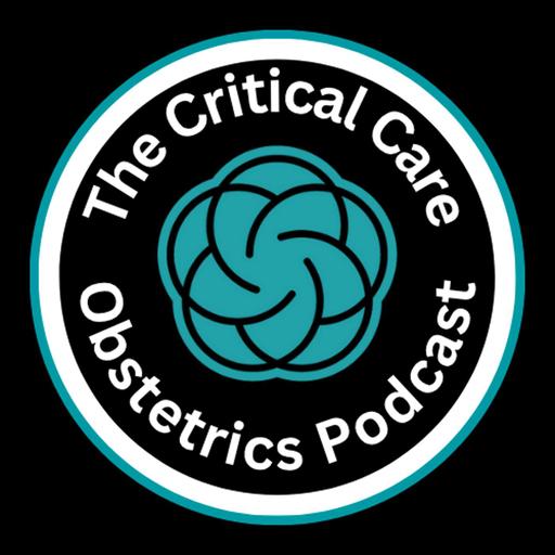 Why OB belongs in OB emergencies in the ED: our review of "The Pitt"