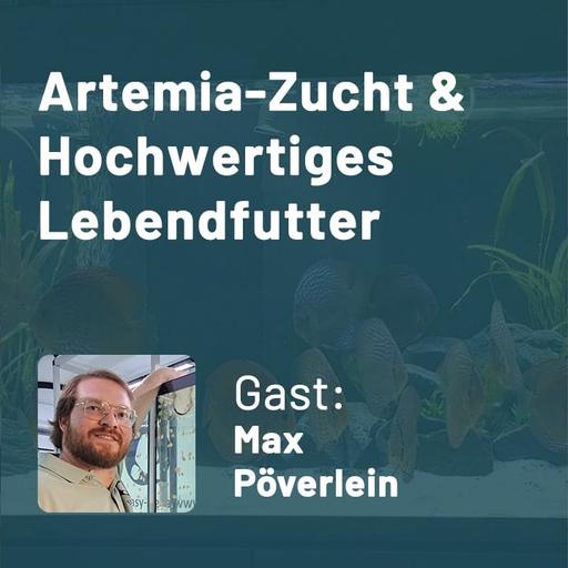 Artemia-Zucht & Hochwertiges Lebendfutter (Max Pöverlein)