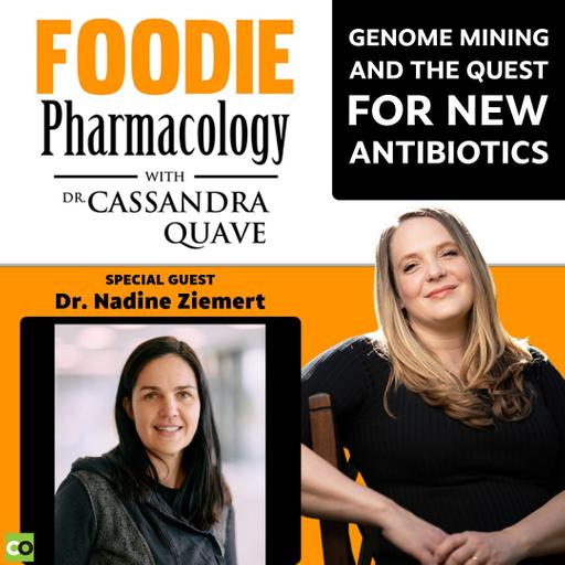 Genome Mining and the Quest for New Antibiotics with Dr. Nadine Ziemert