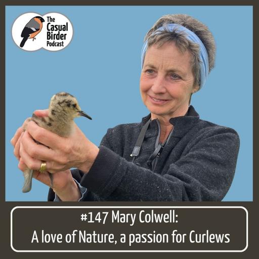Mary Colwell: A love of Nature, a passion for Curlews