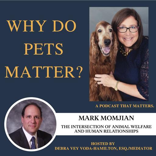 The intersection of animal welfare and human relationships