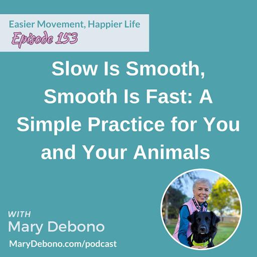 Slow Is Smooth, Smooth Is Fast: A Simple Practice for You and Your Animals