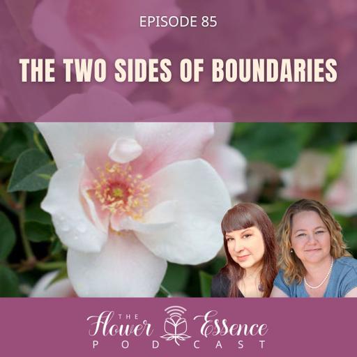 FEP85 The Two Sides of Boundaries