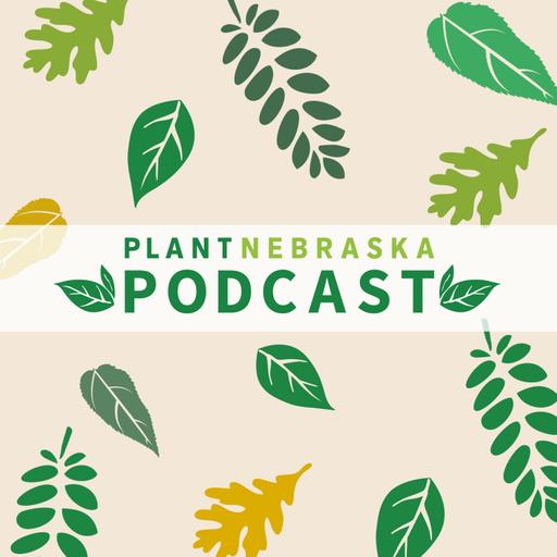 108: Garden Lingo Part 2
