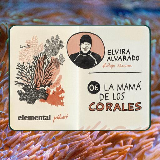 La mamá de los corales