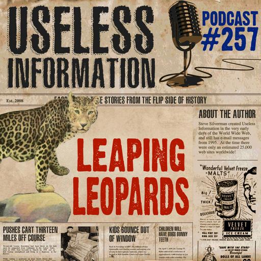Leaping Leopards - UI Podcast #257