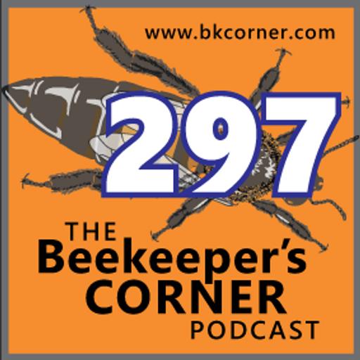 BKCorner Episode 297 - Storm and a Swarm