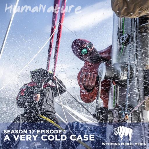 A Very Cold Case