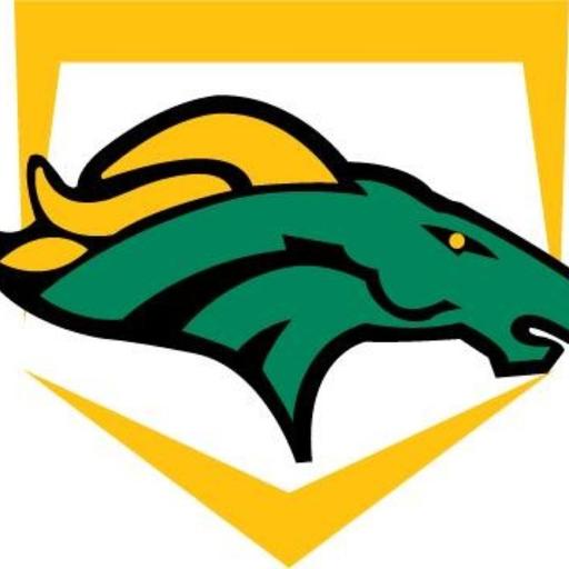 Jeff Rapp Talks Hempstead Baseball and the 2026 Mustangs Outlook