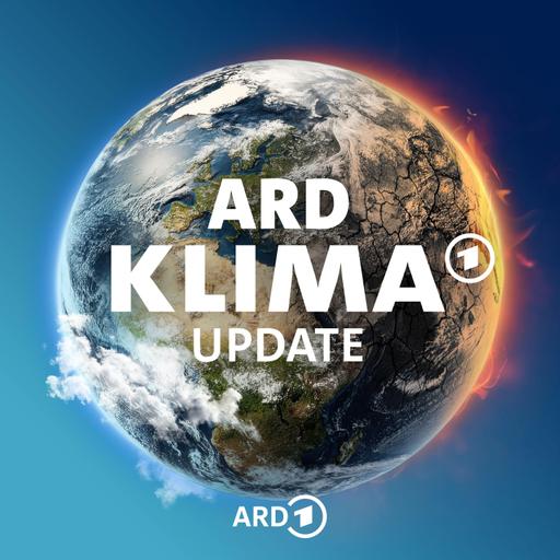 Würgt Katherina Reiche die Energiewende ab?