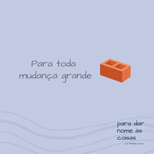 S08EP325 - Para toda mudança grande