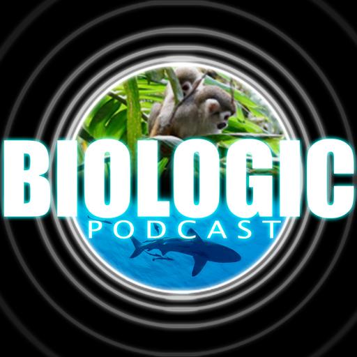 Episode 132 - Phasmatodea - The Stick & Leaf Bugs