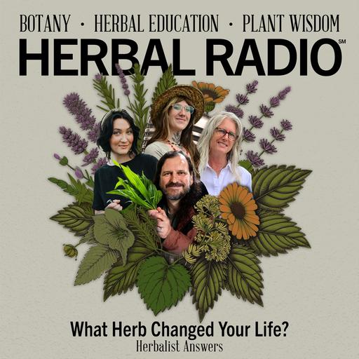 Herbalist Answers: What Herb Changed Your Life?